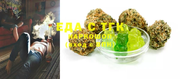 индика Медногорск