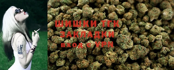 тгк Михайловск