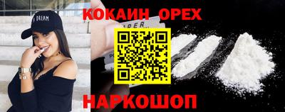дурь Кингисепп