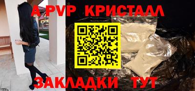 дурь Кингисепп