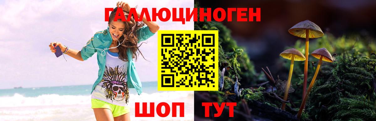 Якутск  Галлюциногенные грибы мицелий  Вход с VPN 